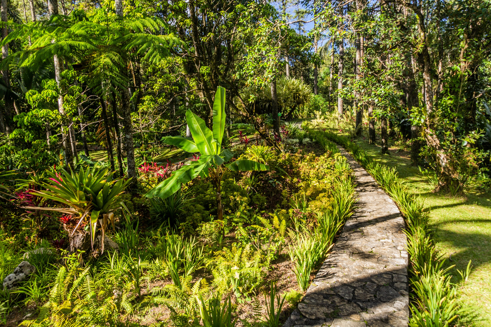 Botanical gardens at the Pico Isabel de Torres mountain above Puerto Plata, Dominican Republic