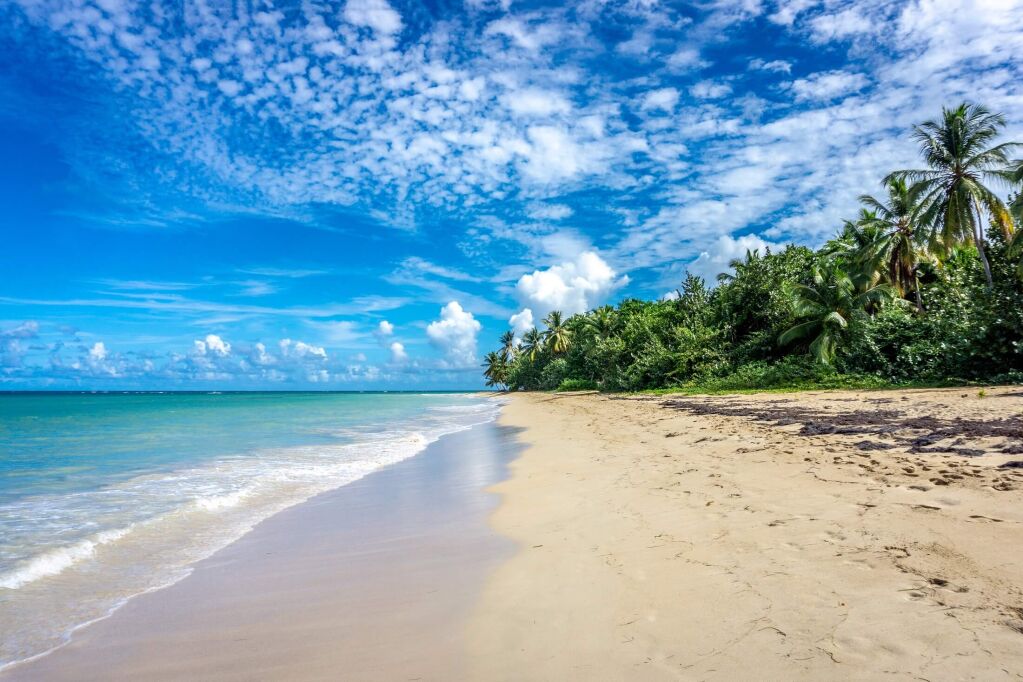 Dominican Republic, Tropical beach at Las Terrenas, Samana.