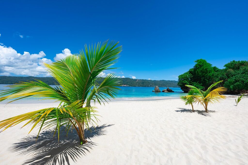white sand paradise beach bokardi island samana bay with palm