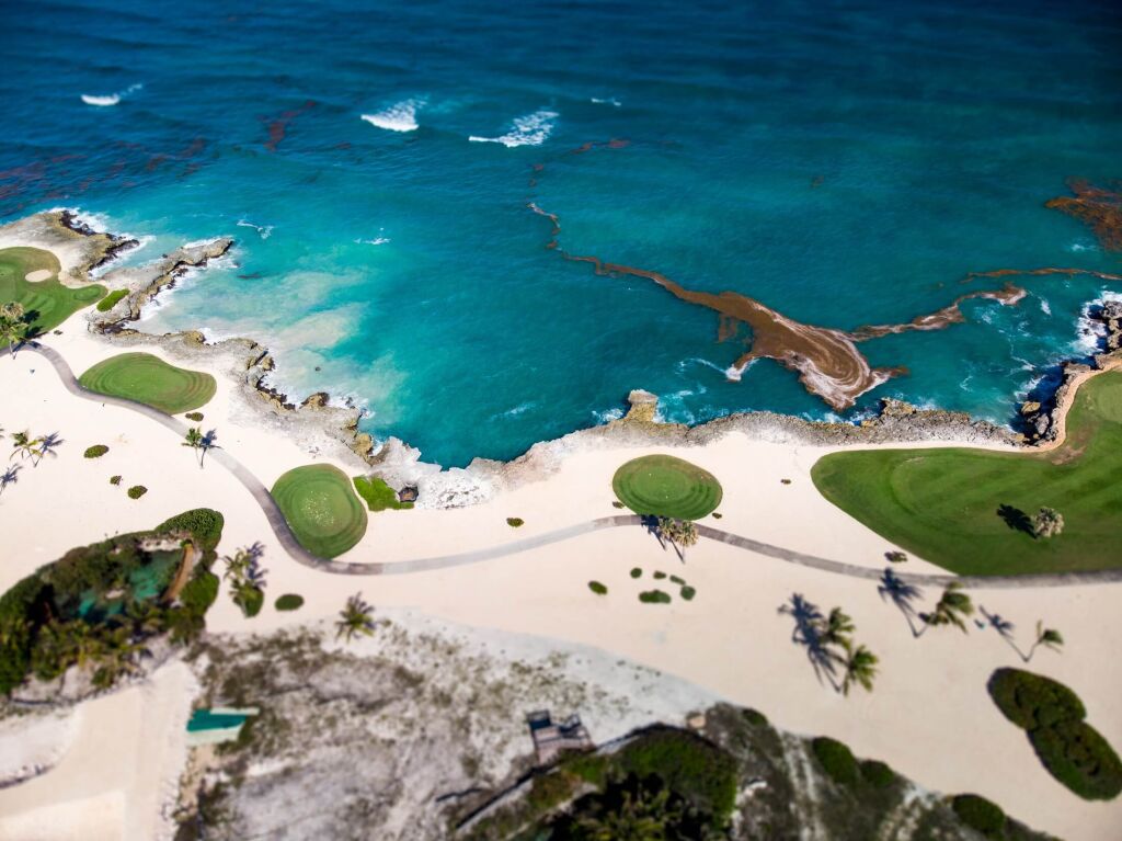 Aerial drone view of golf course at the rocky shore of Caribbean Sea with spots of algae (seaweed) on the water surface in Cap Cana, Punta Cana, Dominican Republic 