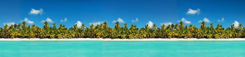 Coastline with coconut palm tree jungle on caribbean beach,  Island Saona. Dominican Republic. Travel destinations. Summer vacations