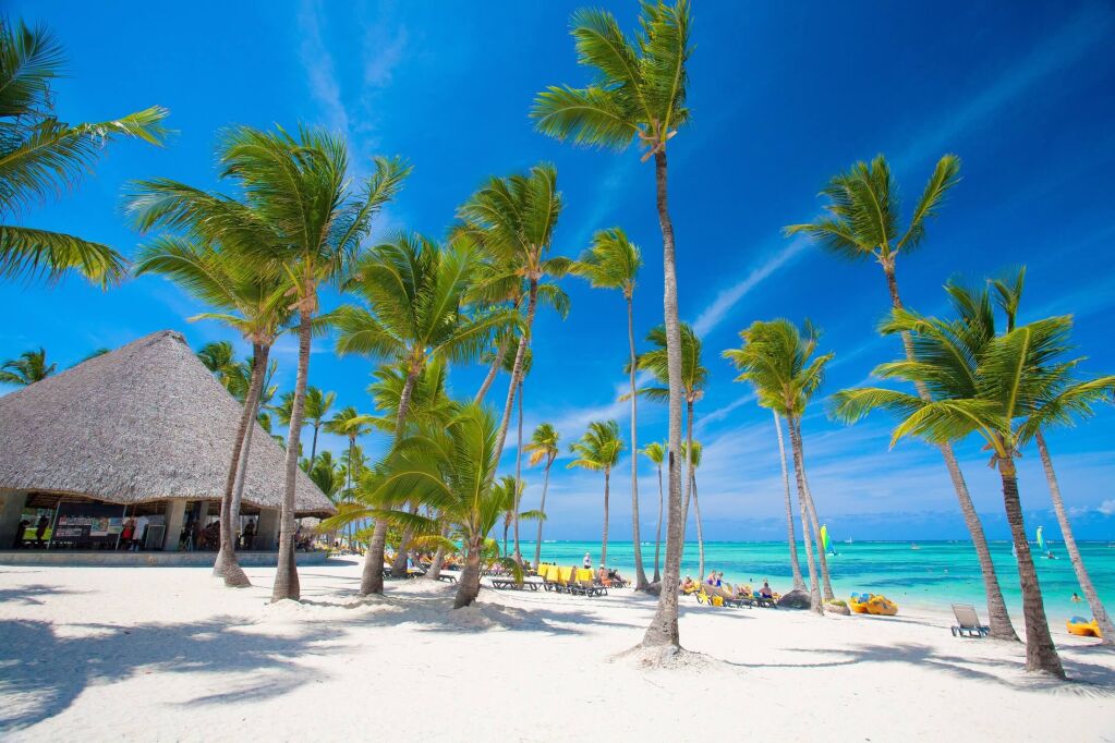 luxury beach in the Dominican Republic . bavaro