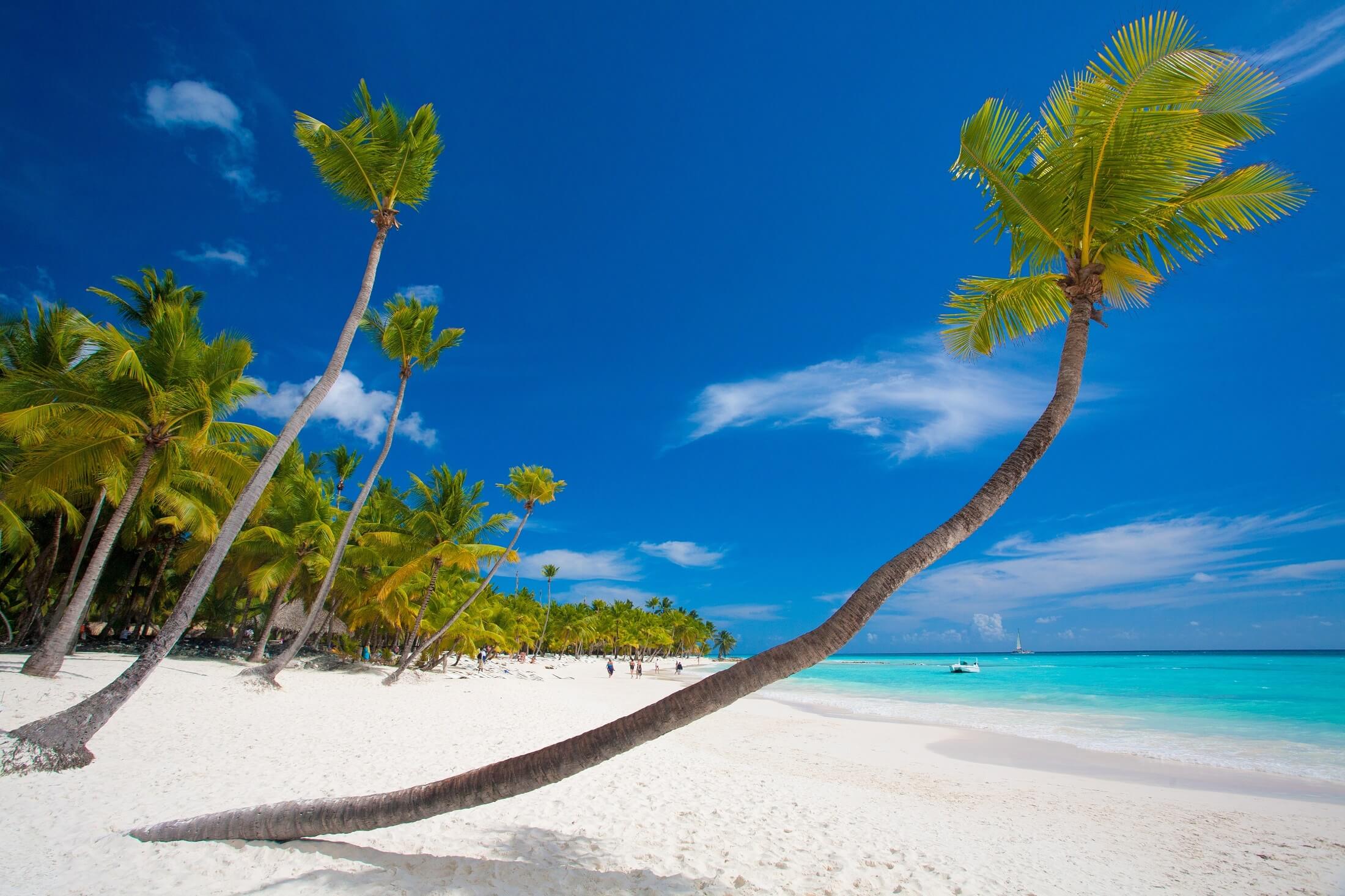 luxury beach in the Dominican Republic .Saona Island