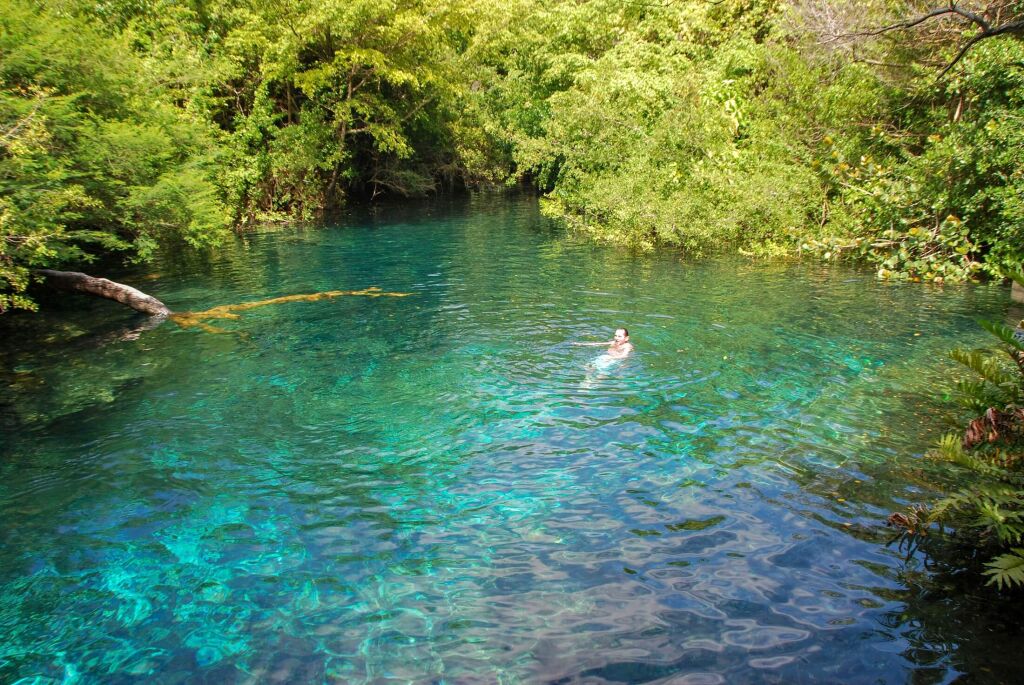 man swims and bathes in natural forest lake of Indigenous Eyes Ecological Park and Reserve near Punta Cana, Dominican
