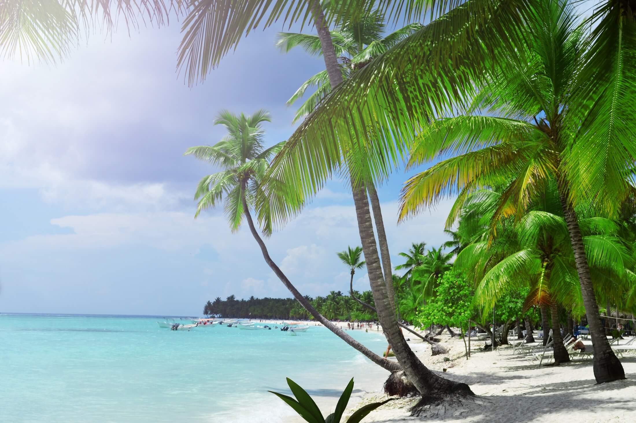 Tropical beach, turquoise sea, white sand and palm trees