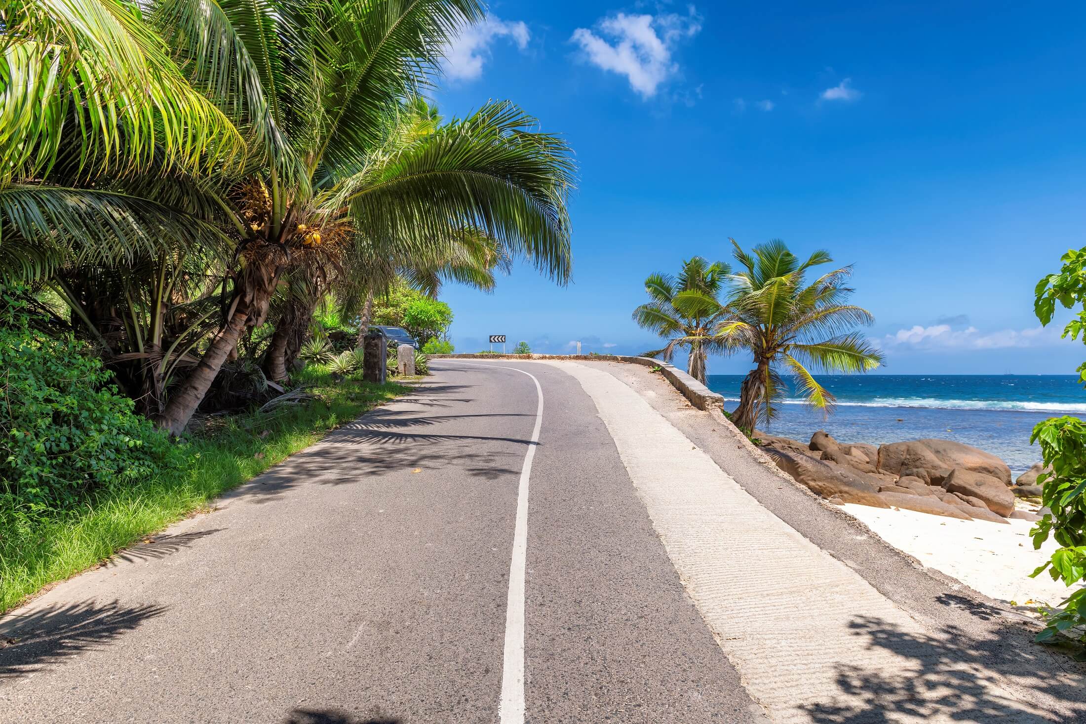 Coconut palm road near the beach on Paradise island, Mahe, Seychelles