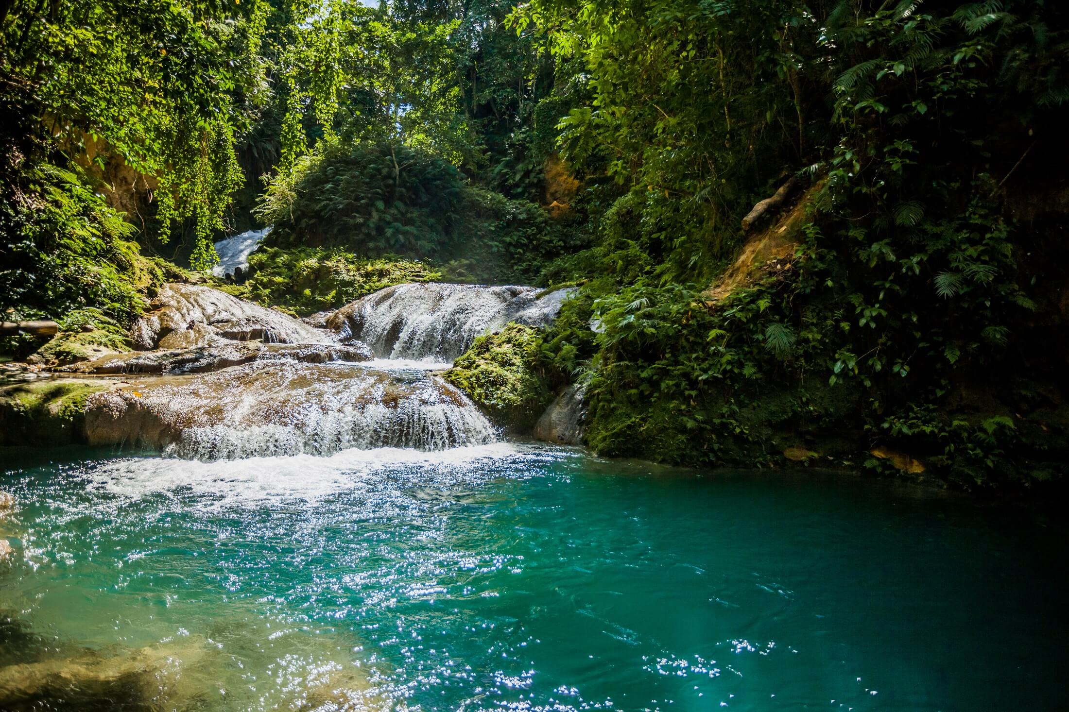 Jamaica pure waters