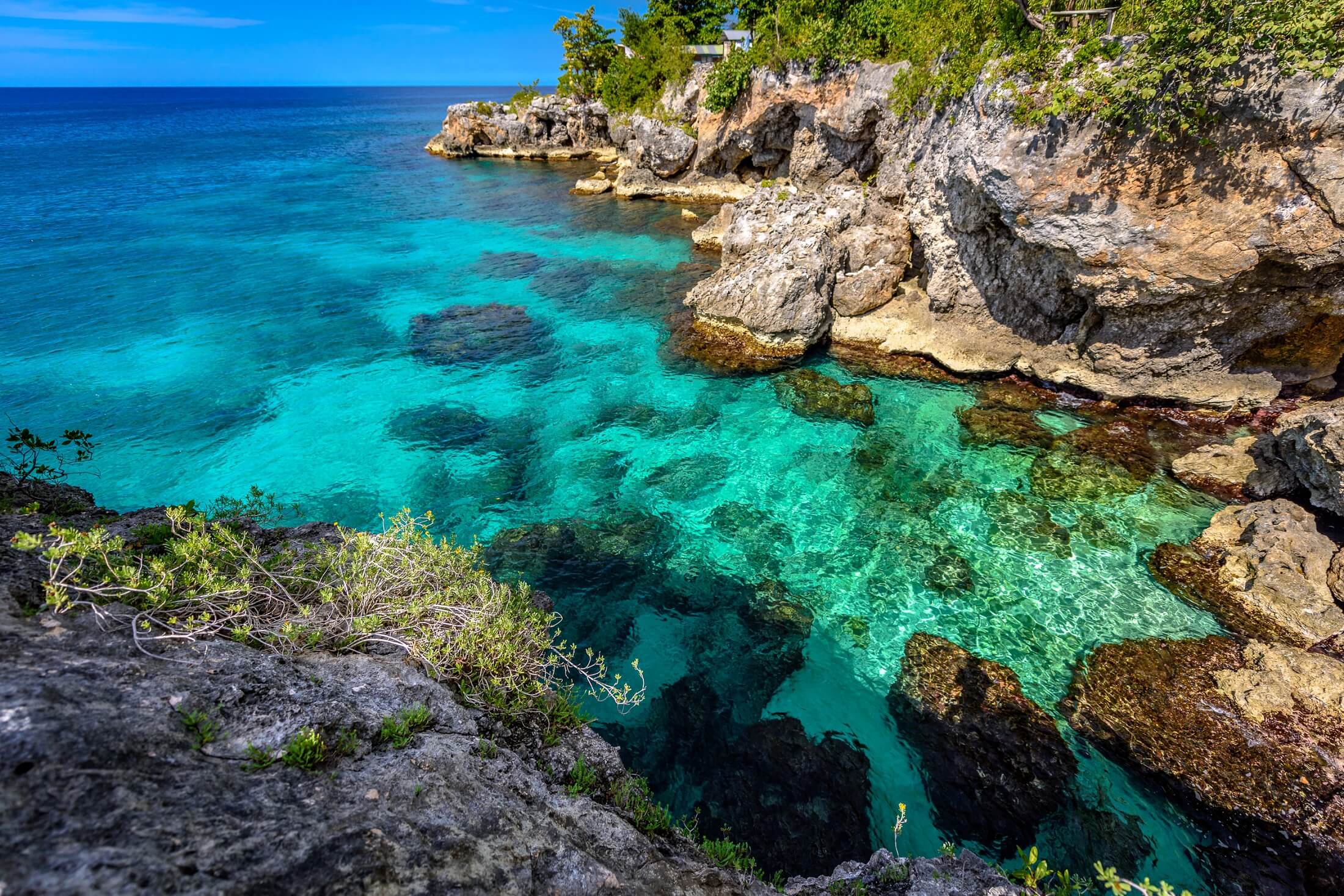 Piękna czysta turkusowa woda w pobliżu skał i klifów w Negril Jamajce. Karaibska rajska wyspa i woda nad morzem z błękitnym niebem i ładnym światłem dziennym