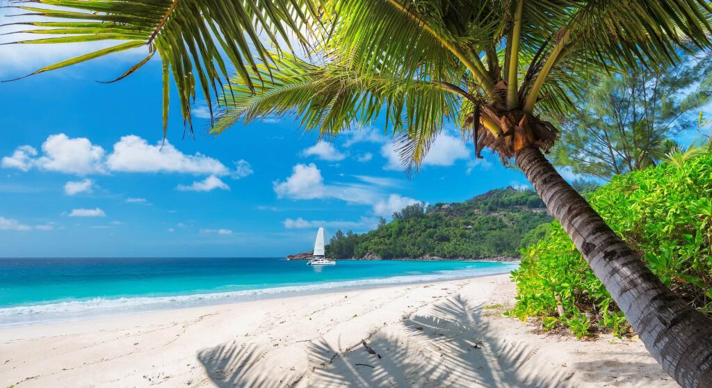 Piękna piaszczysta plaża z palmami i żaglówką w turkusowym morzu na Jamajce Paradise wyspie.