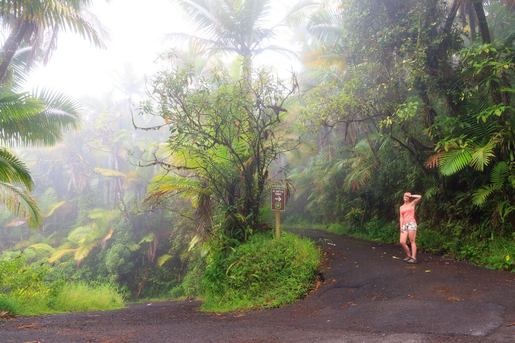 Adventurous young tourist hiking in the beautiful jungle of the El Yunque national forest in Puerto Rico 
