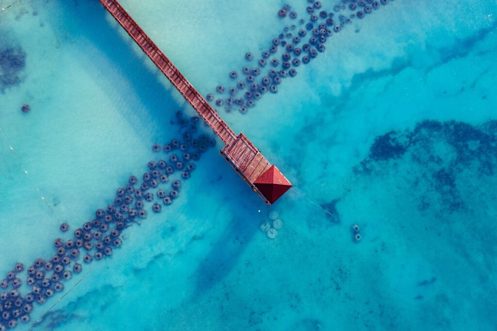 Beautiful caribbean beach in Dominican Republic. Aerial abstract view of tropical idyllic summer landscape with clear transparent blue sea water and wooden red pier