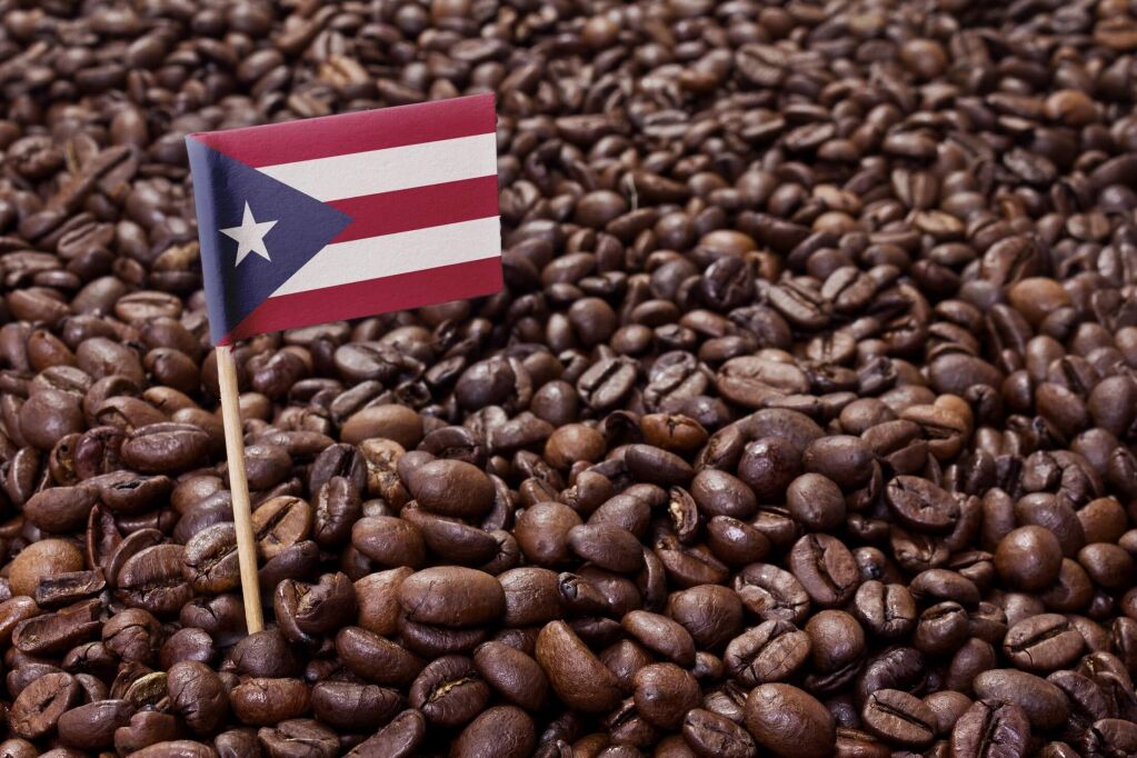 Flag of Puerto Rico sticking in roasted coffee beans.(series)