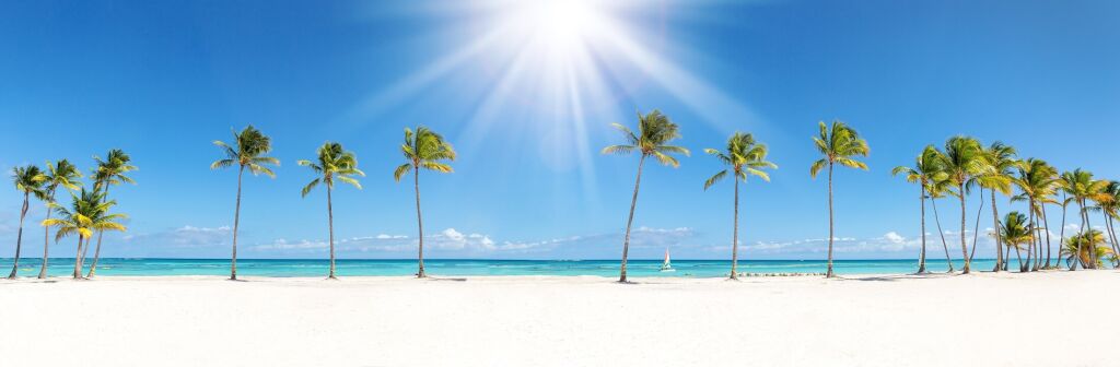 Panoramic scene with beautiful tall coconut palms and sun rays at Juanillo beach, Dominican Republic. Caribbean nature background, long banner