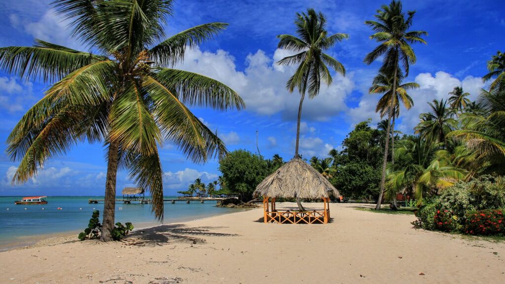 Trinidad & Tobago 2017 - caribbean beach with palms