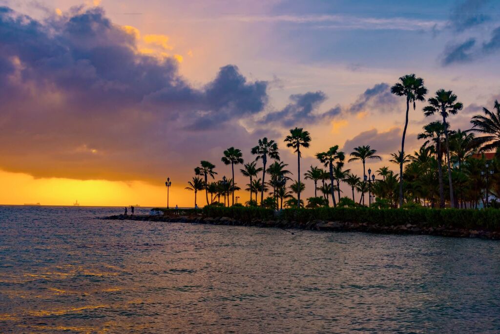 Tropical sunset panorama with palm trees in the Caribbean island of Aruba