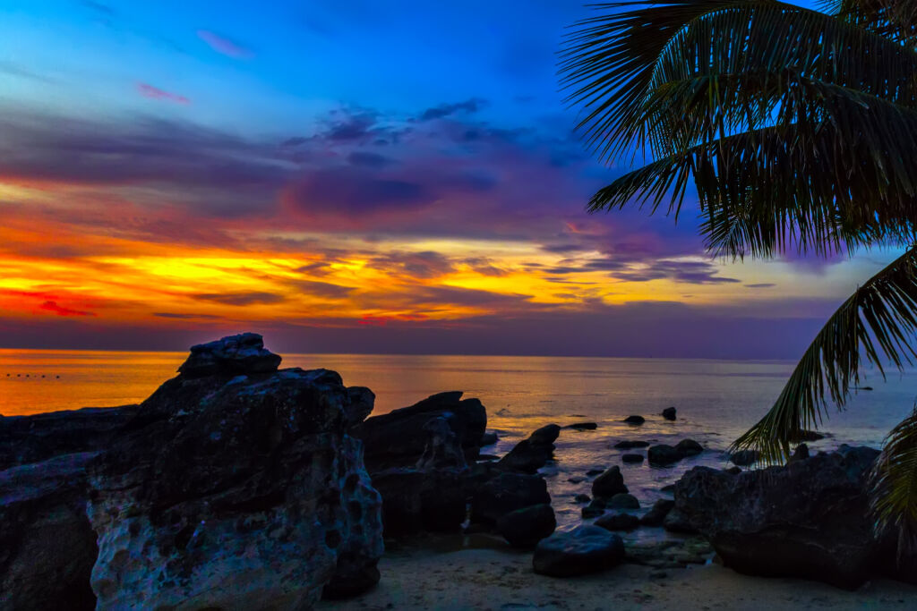 Sunset through the palm trees over the caraibe sea