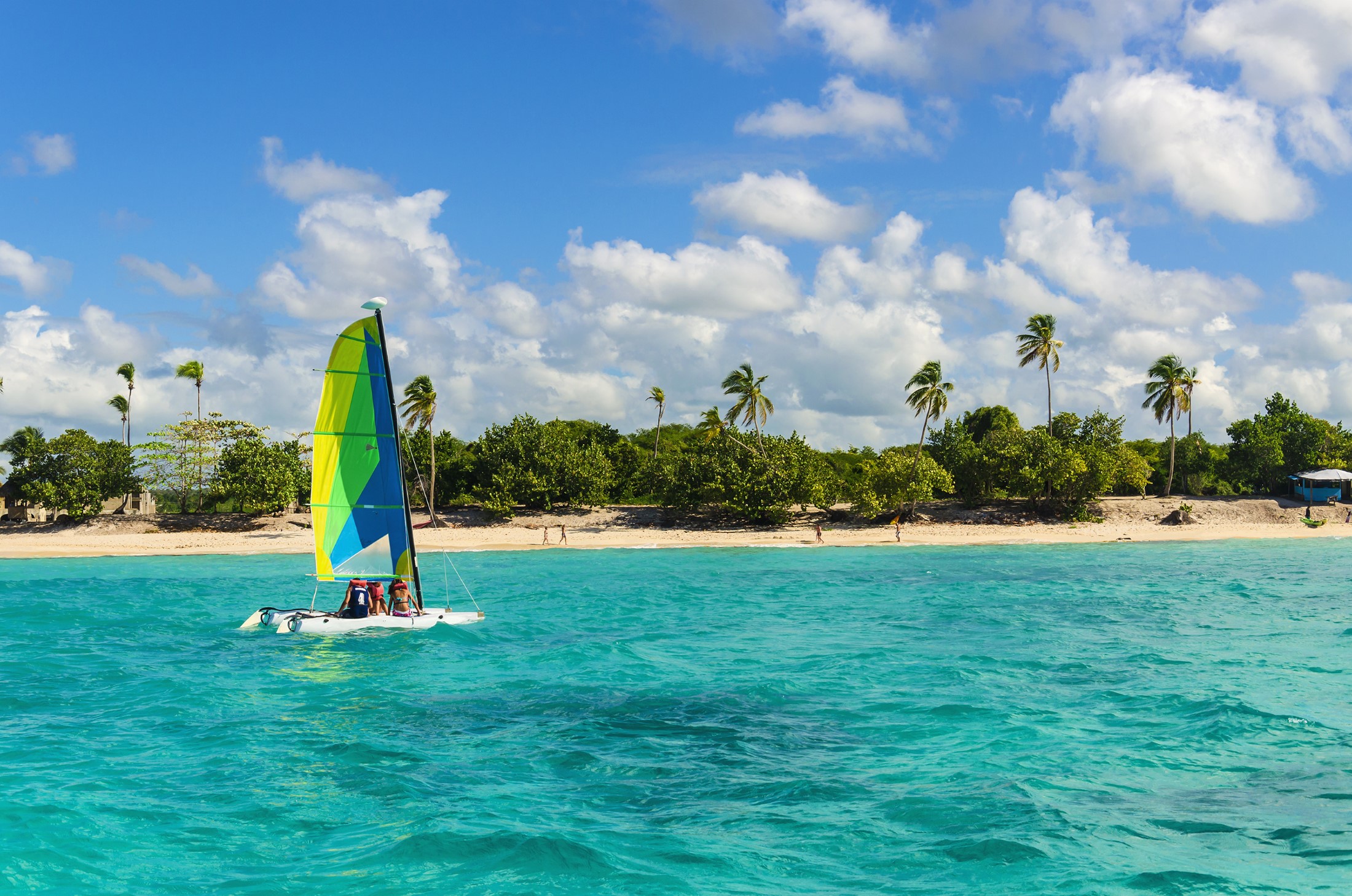 Kolorowy katamaran na lazurowej wodzie na tle błękitnego nieba i egzotycznych palm, Wyspy Karaibskie