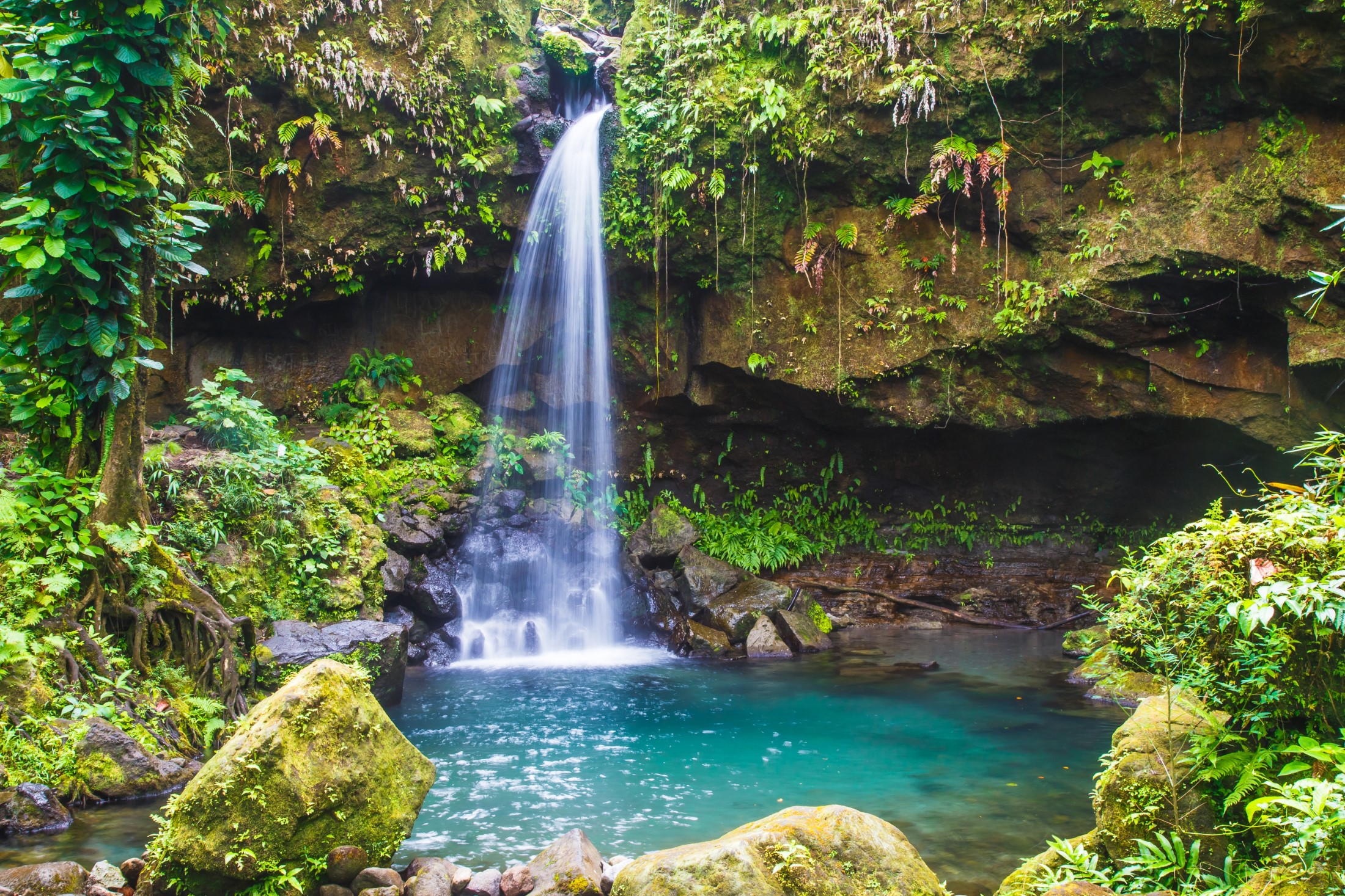 Szmaragdowy basen w bujnym lesie deszczowym to piękny klejnot Dominiki na Karaibach