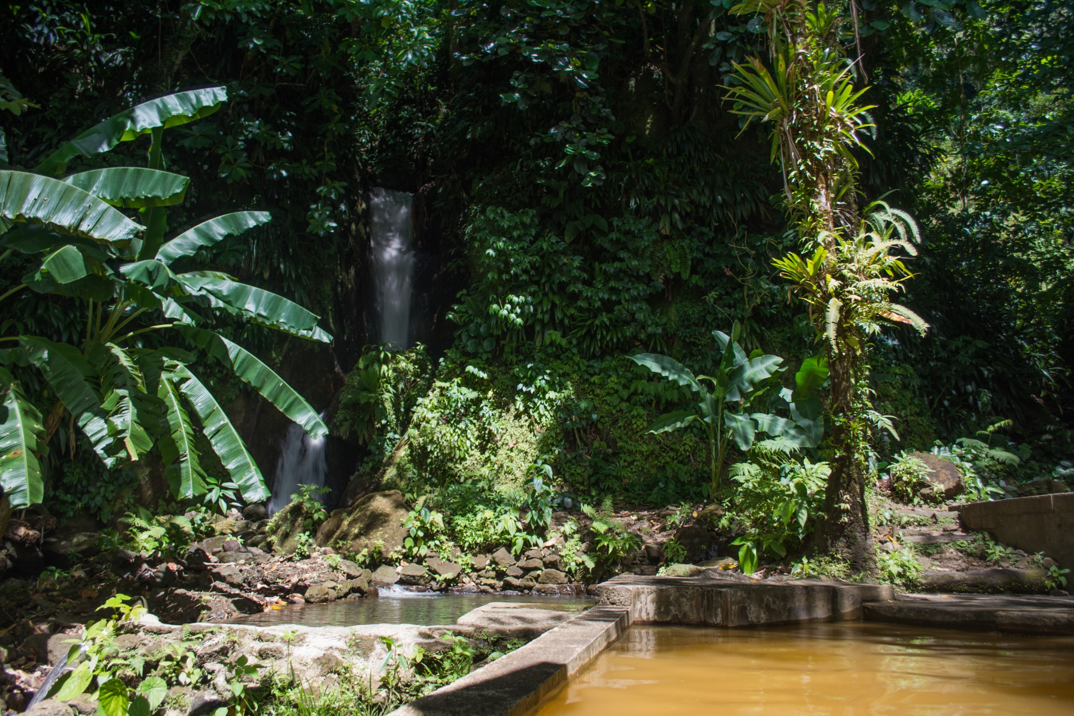Baseny i wodospad zasilane gorącym źródłem siarki, Papillote Gardens, Dominika