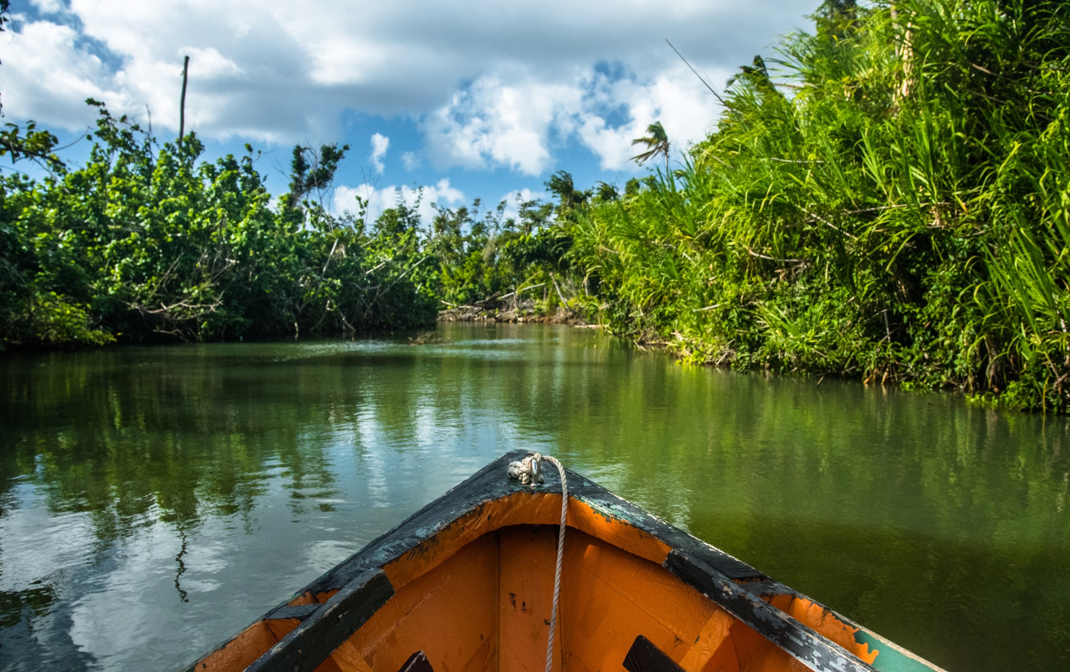 Wycieczka łodzią po rzece Indian na Dominice