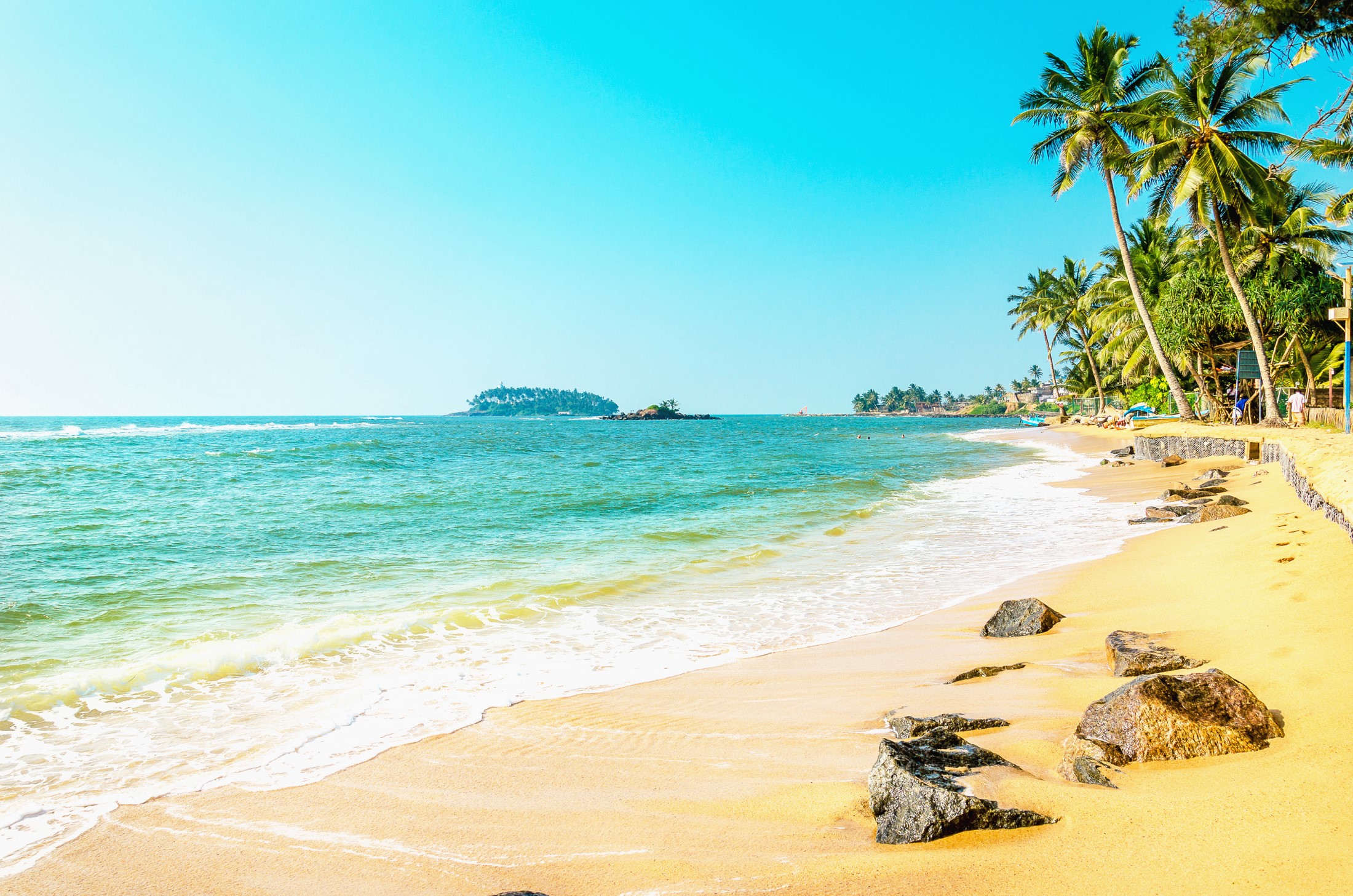 Piękna egzotyczna plaża ze złotym piaskiem i wysokimi palmami na lazurowym morzu i błękitnym niebem, Wyspy Karaibskie