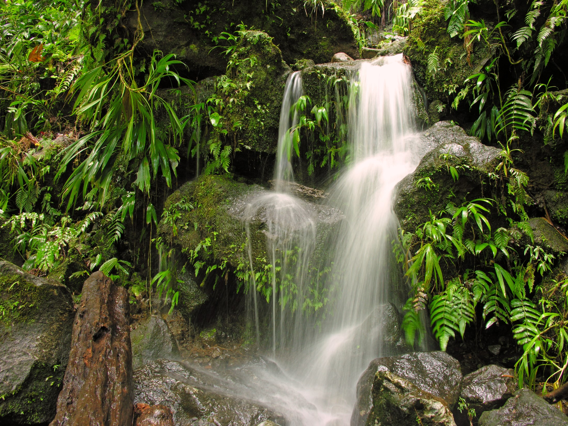Wodospad Middleham, Dominika